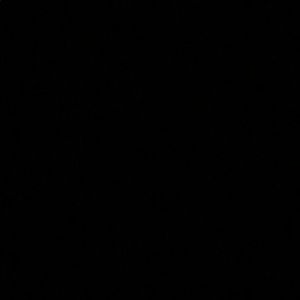 Meet your Posher, Morgana